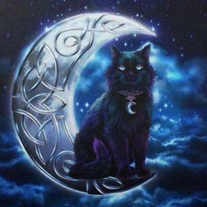 Meet your Posher, Joanne marie